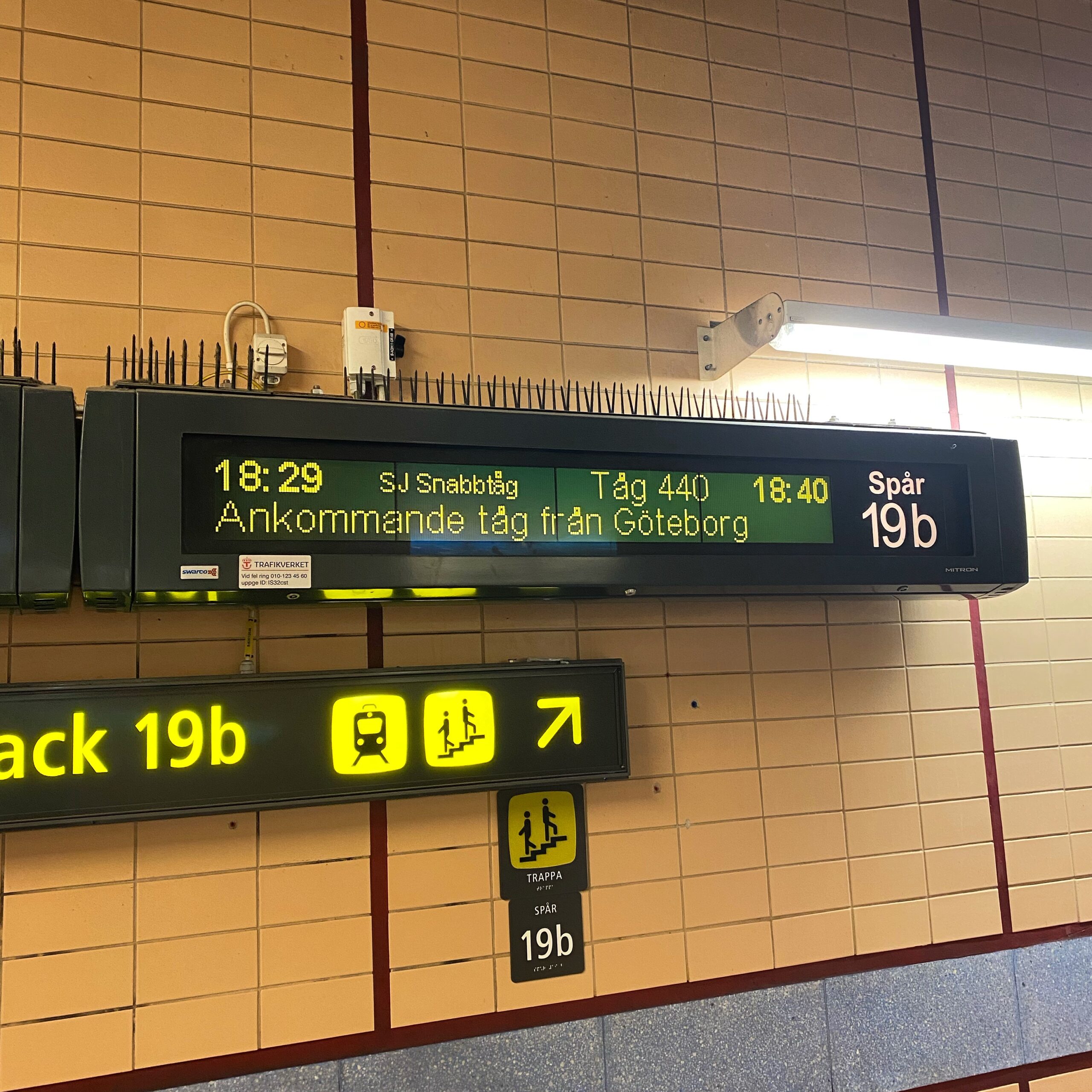 A modern Joan of Arc