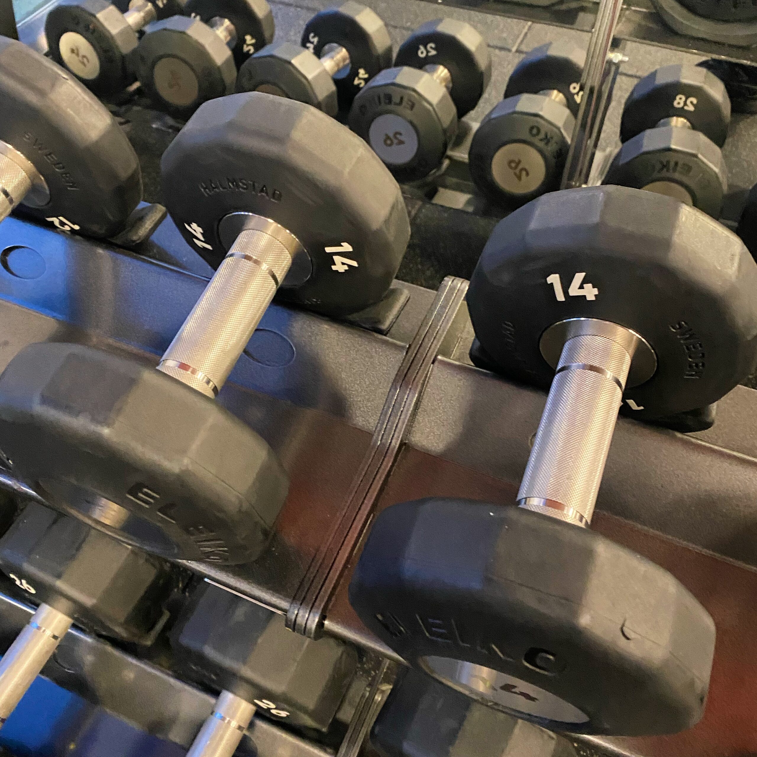 Driven Expert Thrives in Business Development, Harmonizing High-Stakes Challenges with Energizing Personal Retreat