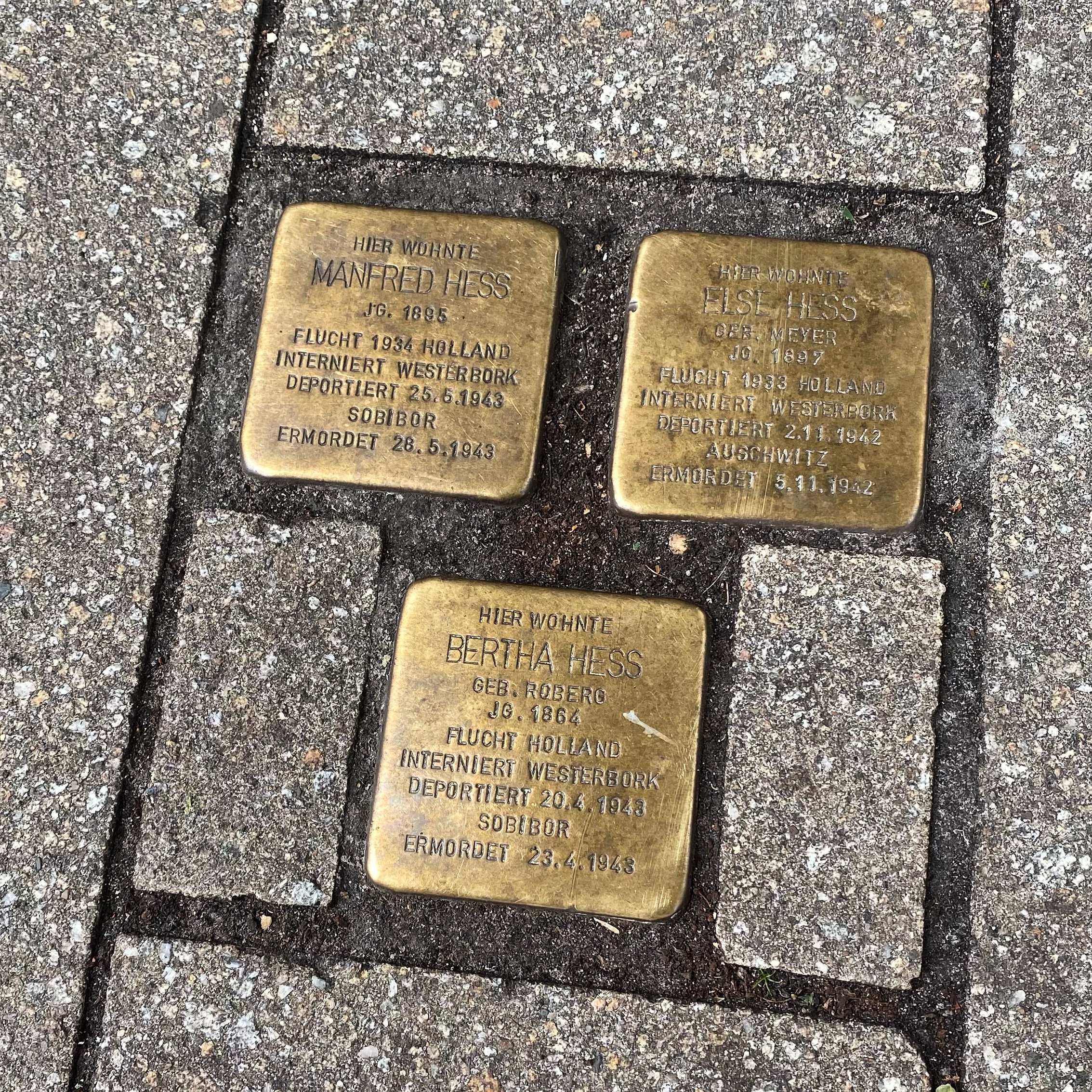 Brass memorial plaques embedded in a pavement, commemorating Manfred Hess and Bertha Hess.