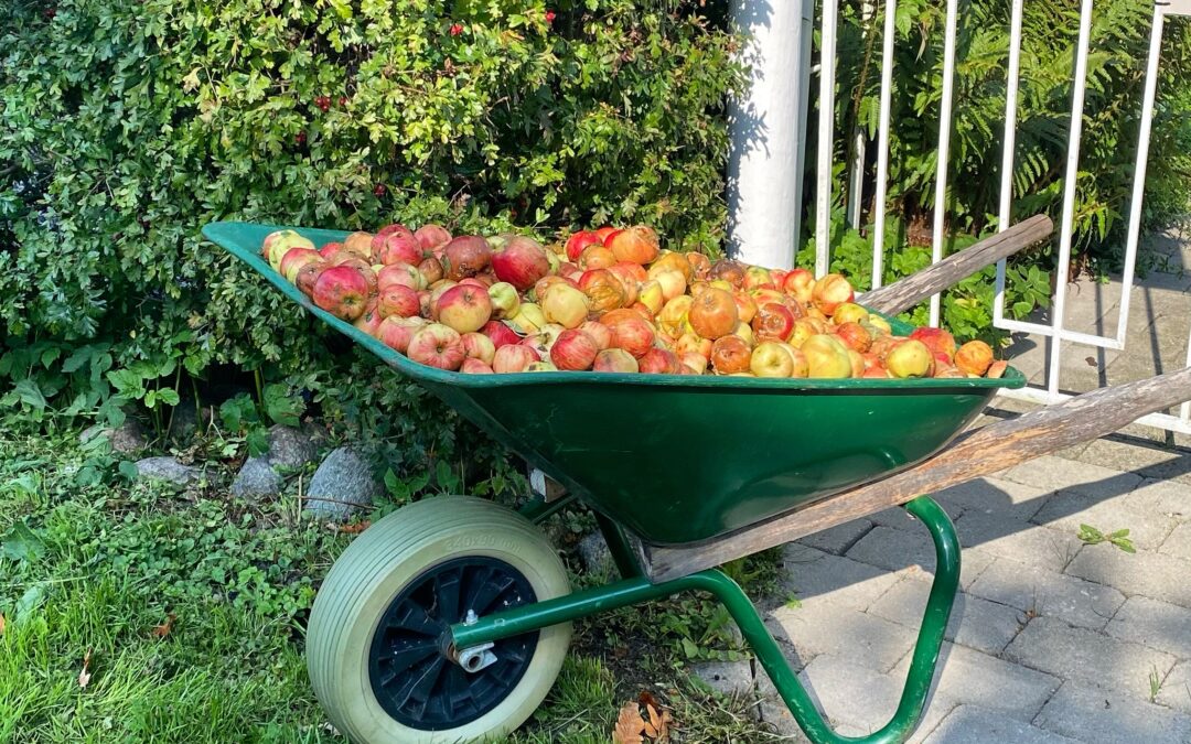 An ‘Endless Apple Festival’: A Tribute to Culinary Legends and Neighborhood Generosity