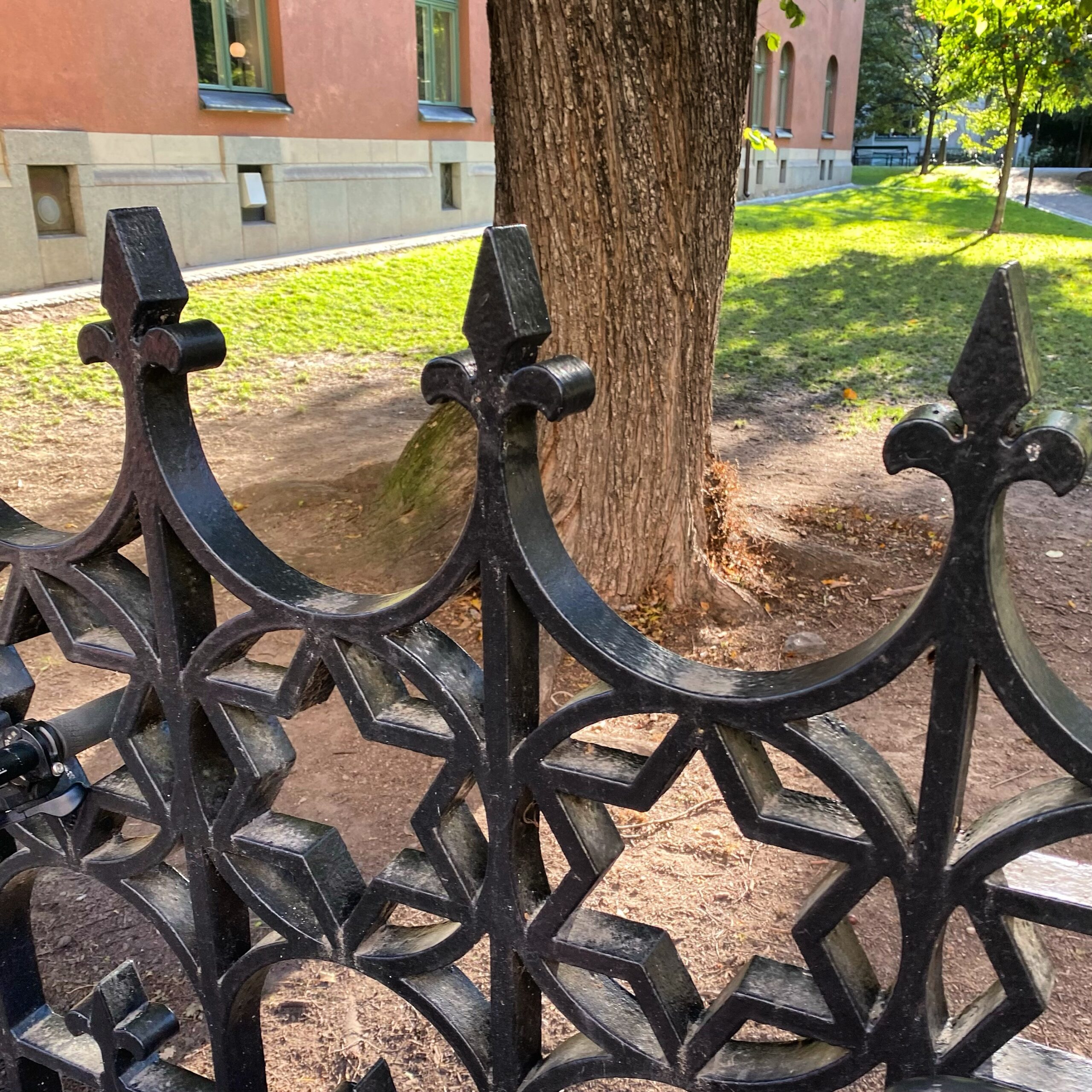 Ornate black wrought iron fence with decorative patterns and a tree in the background.