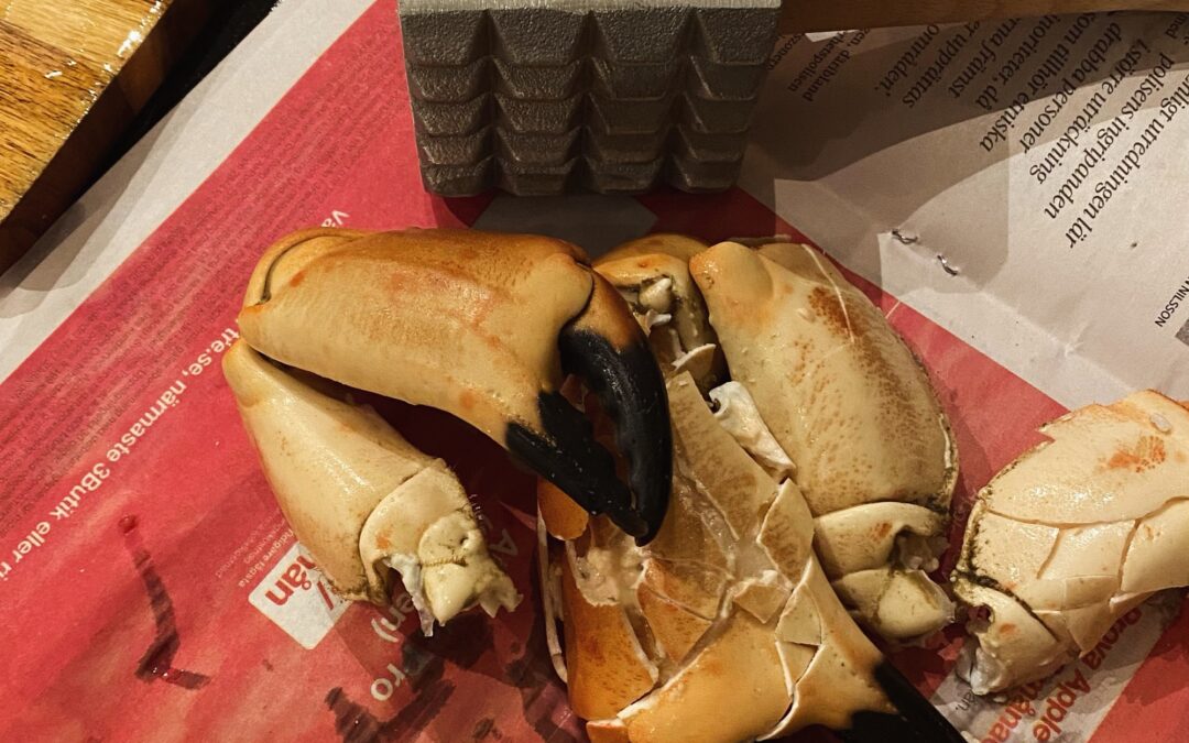 Fish of the week or shellfish