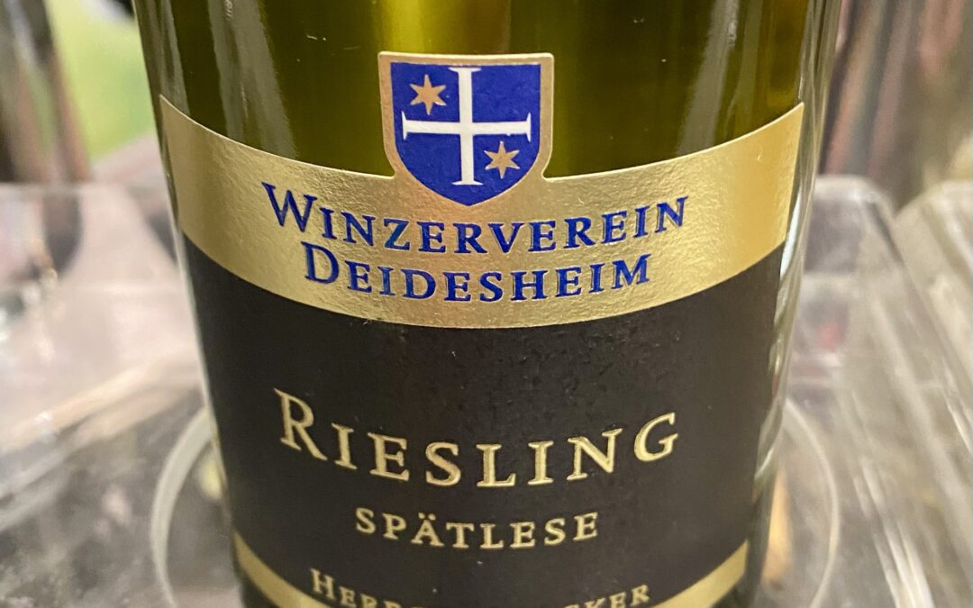 Discovering Wine Delights: Zinfandel and Riesling Highlights