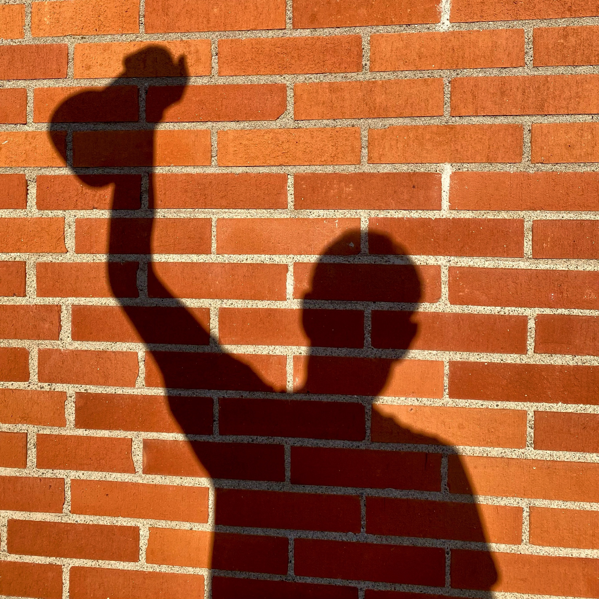 Shadow of a person raising a hand with a small object against a brick wall.