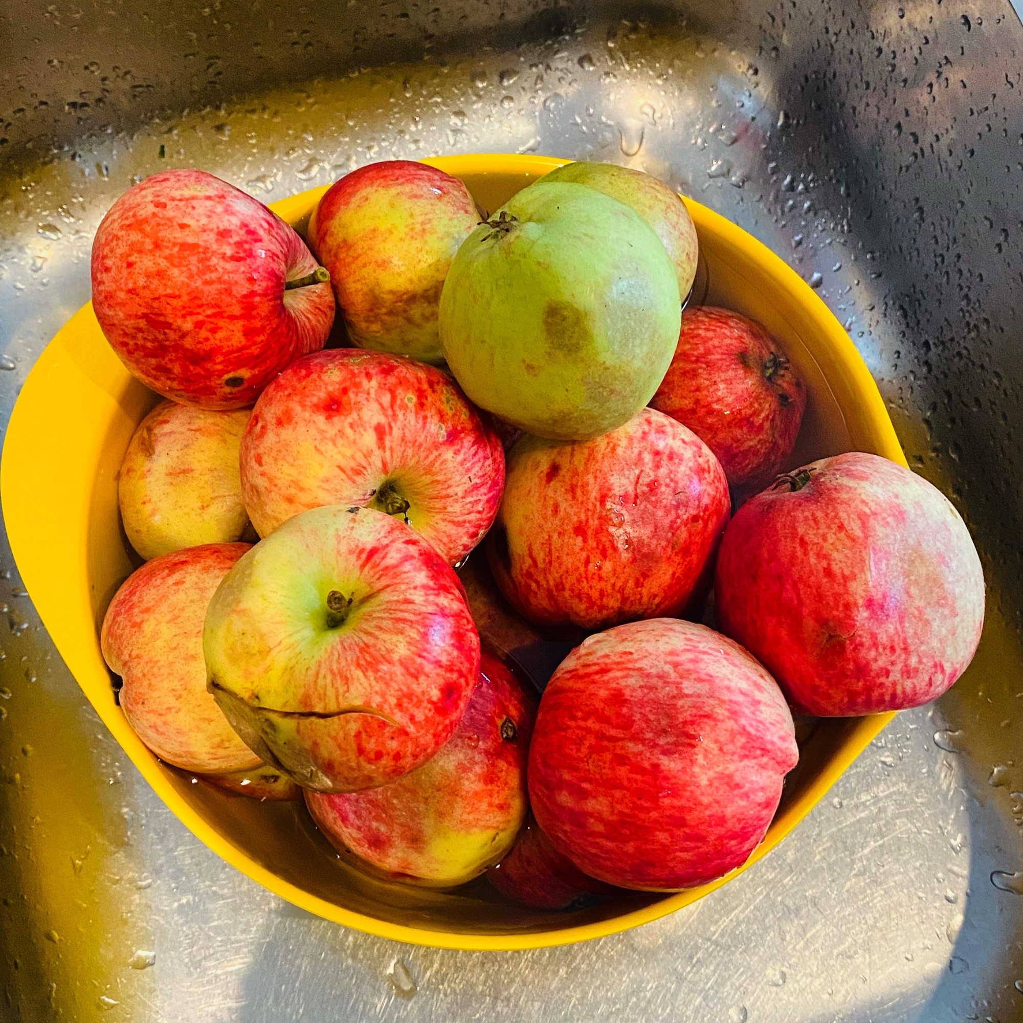 A yellow bowl filled with various apples, including red and green varieties, resting in a sink.