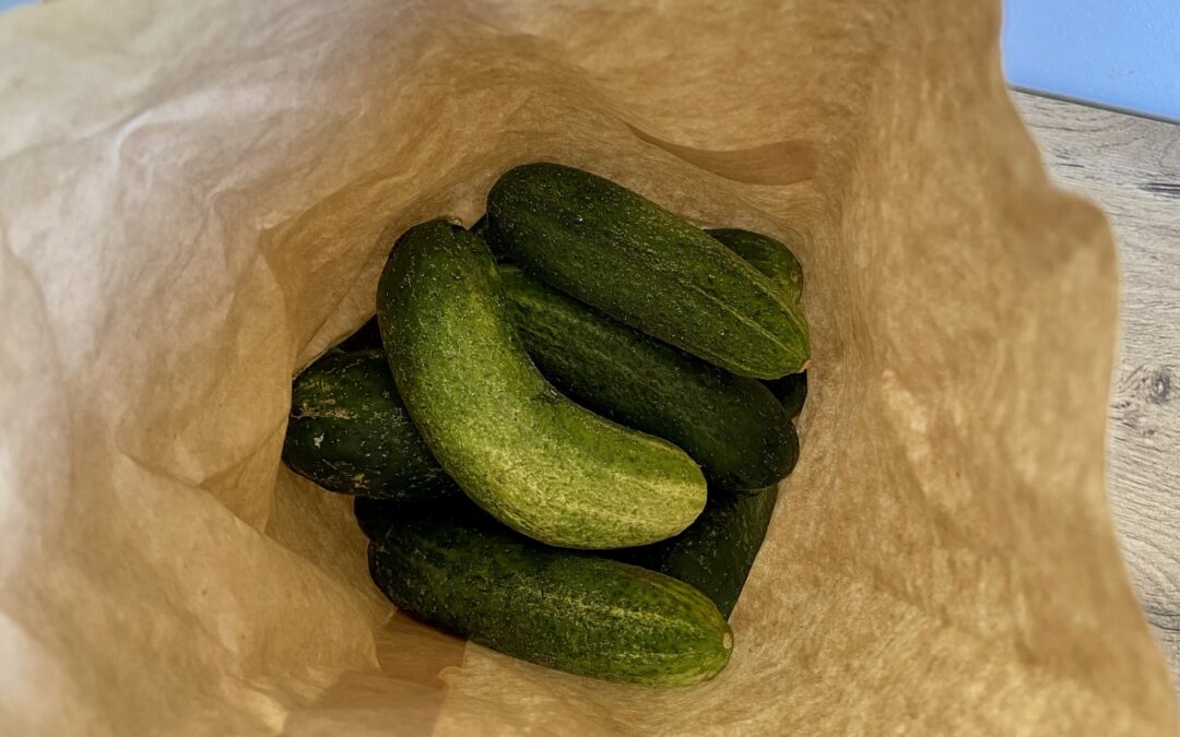 Now it’s time to make a batch of traditional pickled cucumbers