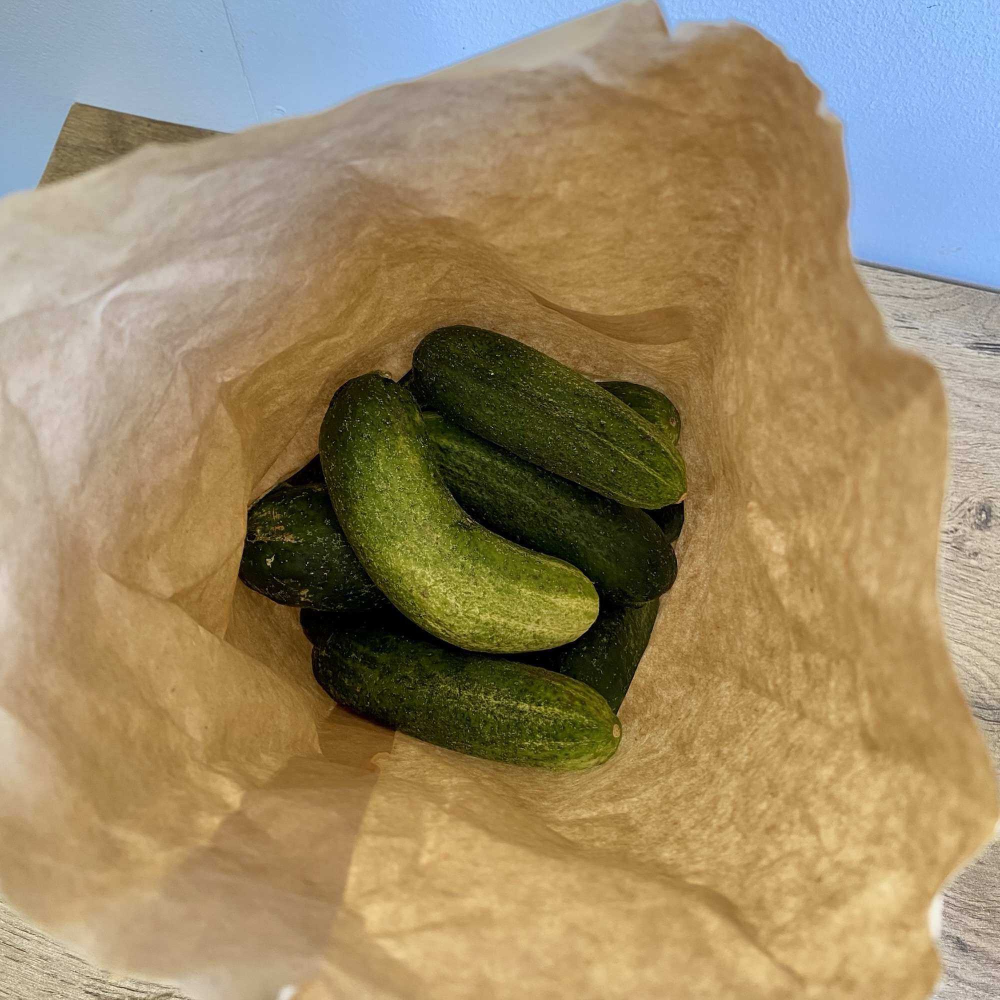Fresh green cucumbers lie in a brown paper bag on a wooden surface, ready for making traditional pickled cucumbers.
