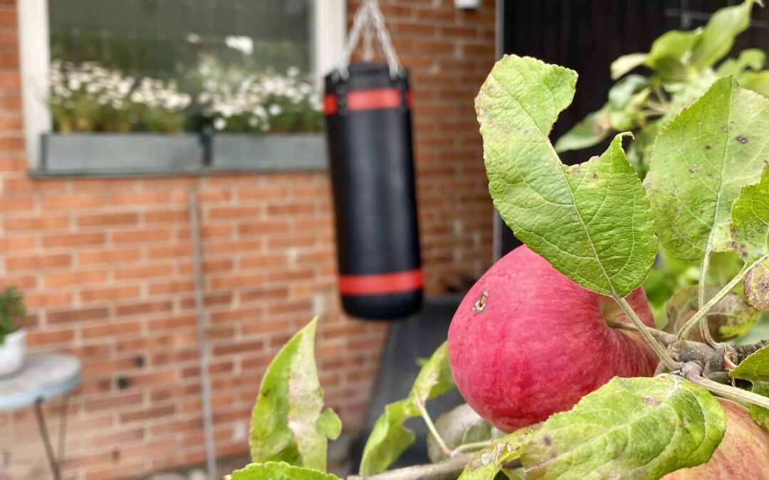 My apples are starting to turn red