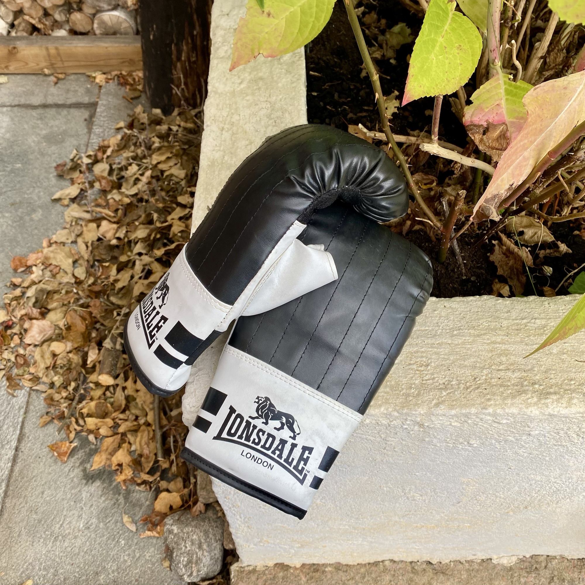 A pair of black and white Lonsdale boxing gloves rests on a stone ledge beside an apple tree with autumn leaves.